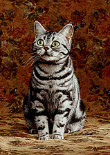 Rankatz Raeanne